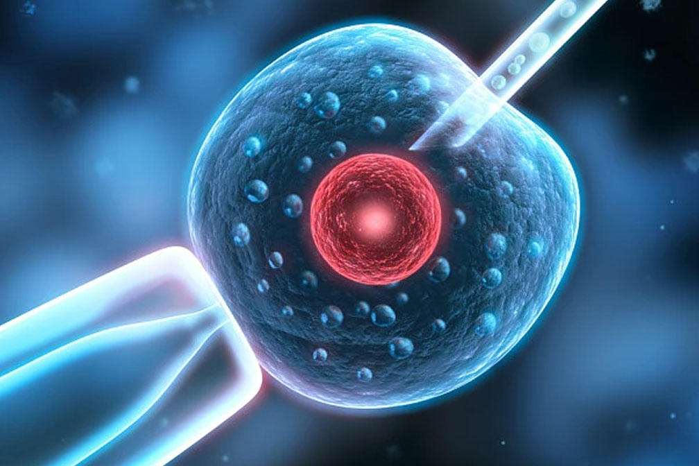 排卵障礙致不孕問題，泰國試管科學助孕