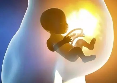 許多人對試管嬰兒的誤區