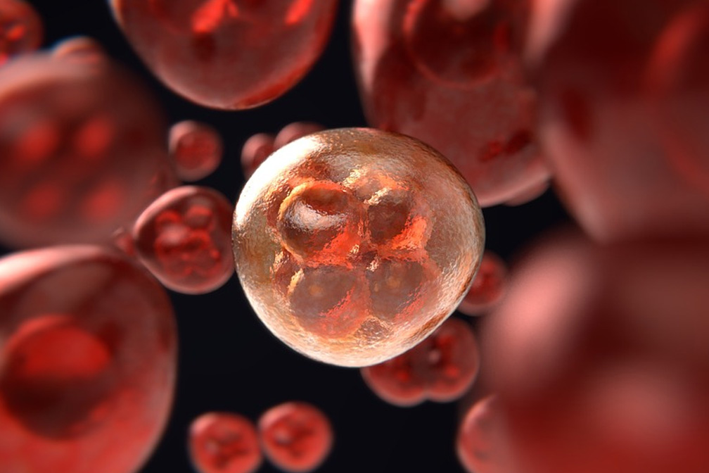 試管嬰兒術前檢查注意事項有哪些?