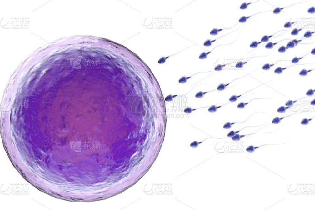 做泰國試管嬰兒要注意哪些影響