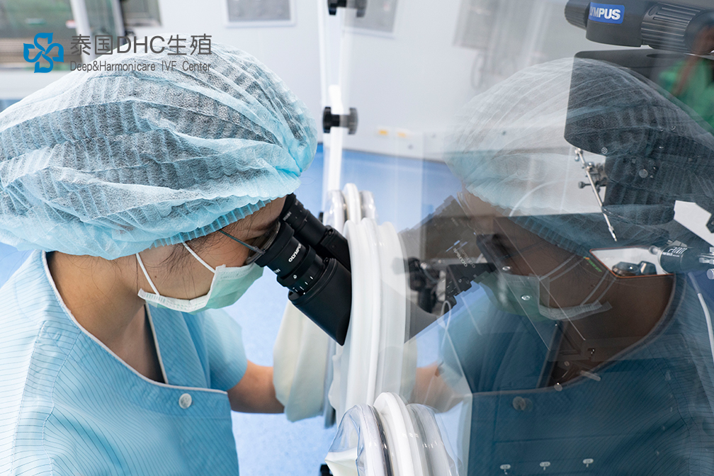 矢量智能對象 拷貝 14 矢量智能對象 拷貝 14