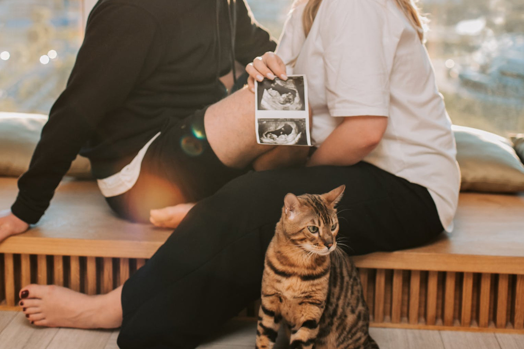 移植后為什么要打黃體酮針？黃體酮的功效與作用