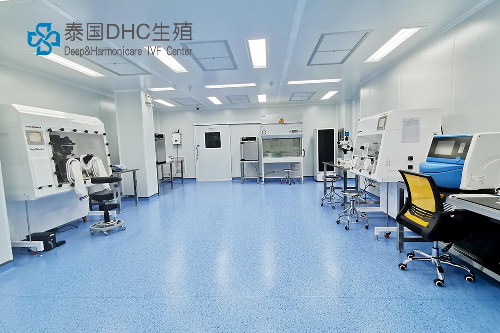 泰國試管嬰兒——囊胚移植的優點以及適用人群