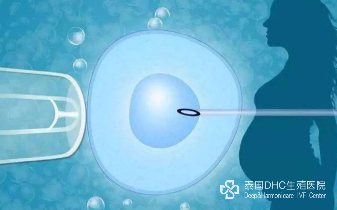 泰國DHC：泰國試管嬰兒生育攻略，流程、費(fèi)用、成功率解析