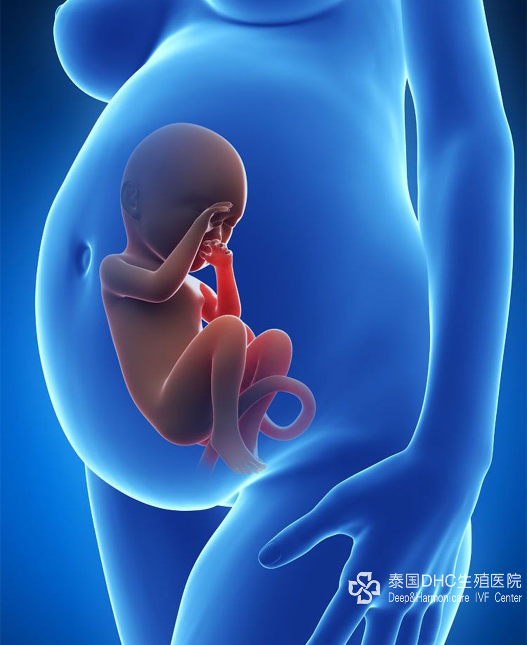 去泰國試管條件(泰國試管條件分析及必備知識)