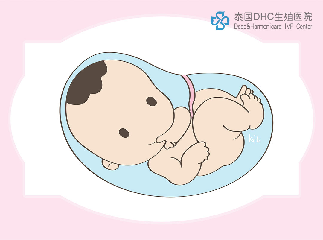 泰國DHC：去泰國試管好嗎？去泰國試管懷孕的費(fèi)用與注意事項(xiàng)