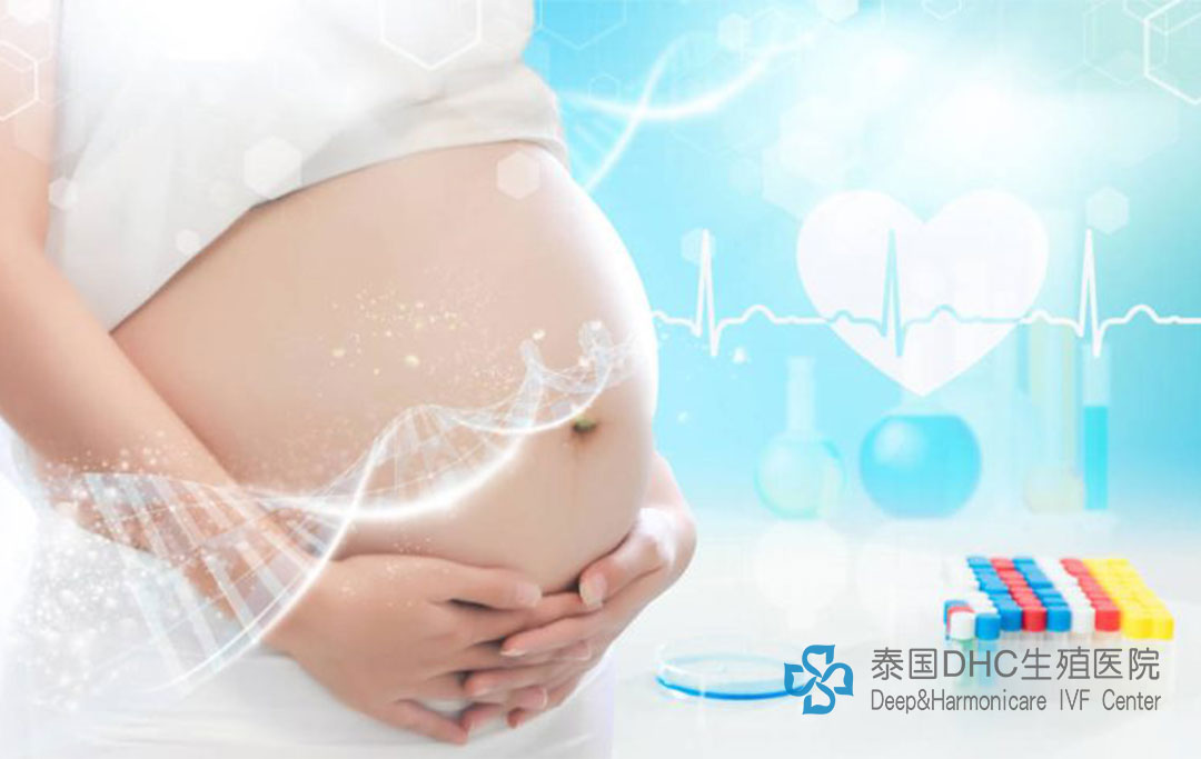 泰國DHC：泰國試管檢查流程分享，解答您的疑慮