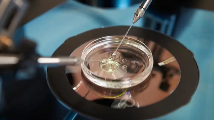 試管嬰兒進入周期是什么意思？試管嬰兒進周期后的流程