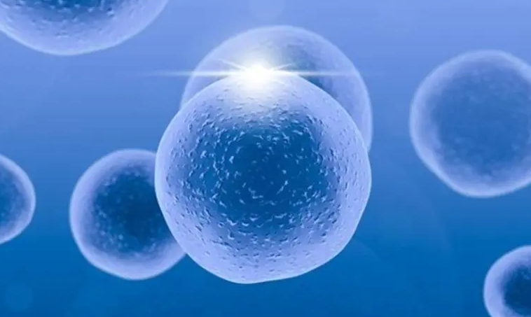 試管基礎卵泡多少個算正常？基礎卵泡正常數目