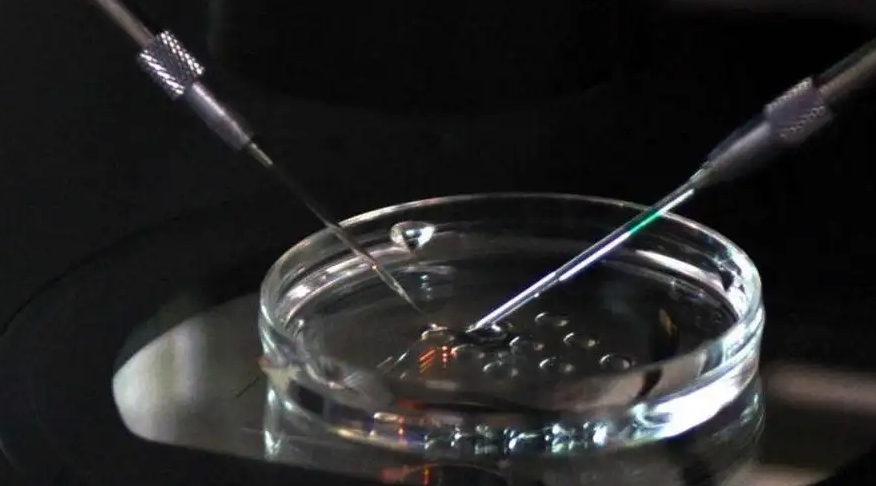 試管嬰兒胚胎移植不著床怎么辦？移植不著床的最大原因