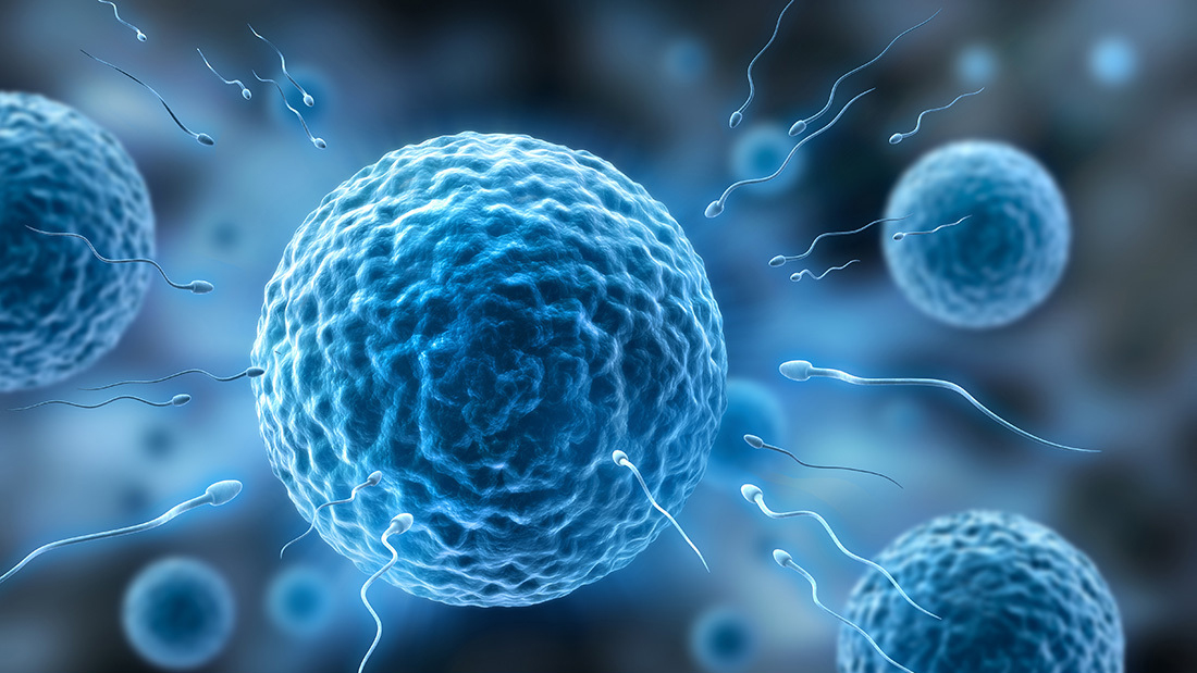 試管嬰兒能否避免基因缺陷？試管基因檢測的作用和意義