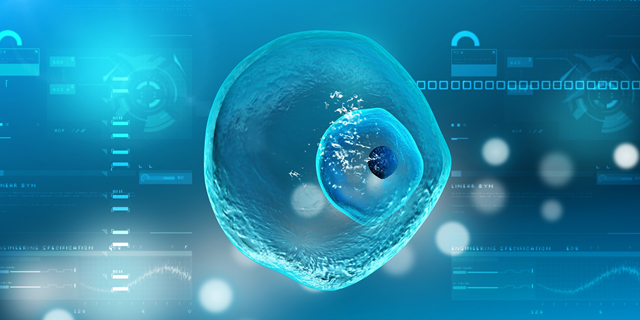 長方案還是短方案好？試管嬰兒長方案和短方案的優缺點