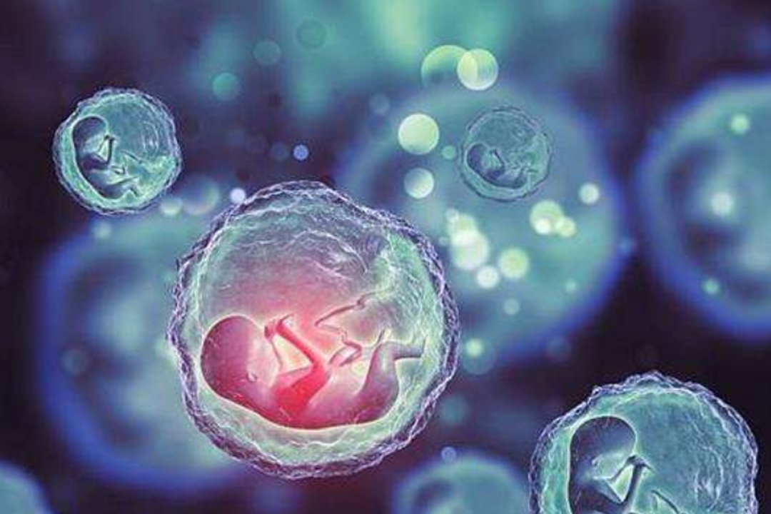 泰國三代試管嬰兒怎么選對醫院？泰國試管嬰兒醫院推薦