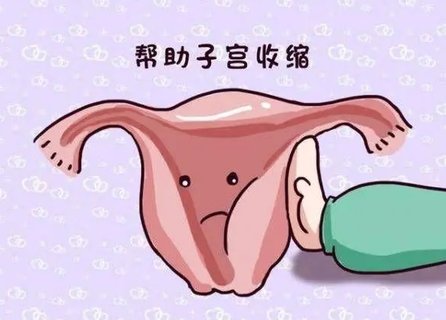 影響子宮收縮的因素有哪些？深入探討生育健康的關鍵要素