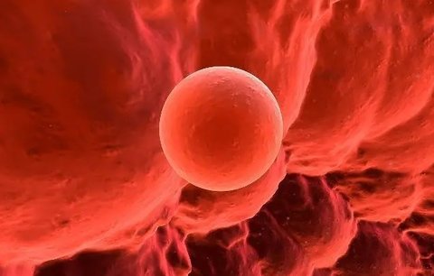 提高試管著床的秘訣！試管著床7個小妙招