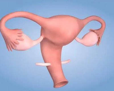 卵巢早衰的現象有哪些？卵巢早衰的癥狀和后果