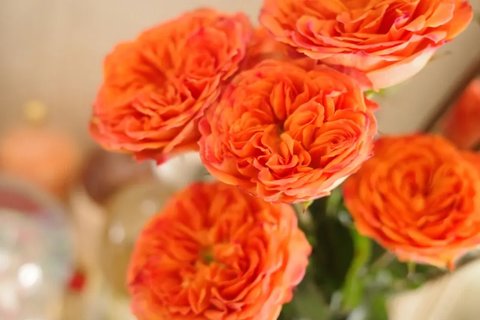 卵巢囊腫是什么原因引起的？卵巢囊腫出現的原因