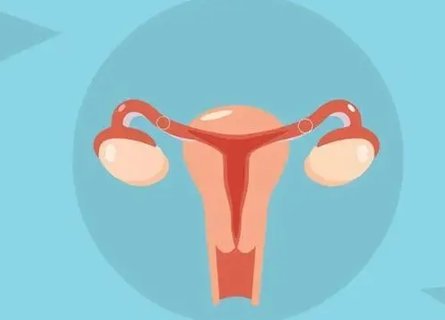 輸卵管堵塞做試管成功率高嗎？輸卵管堵塞對試管的影響