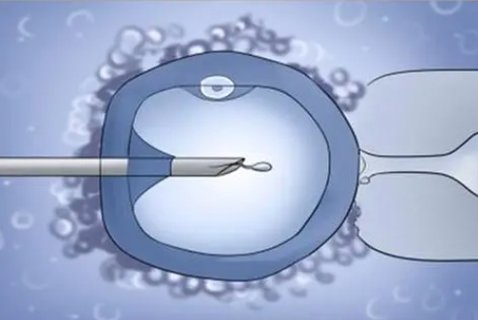 身體不好的人做試管有影響嗎？體質(zhì)差對做試管的影響