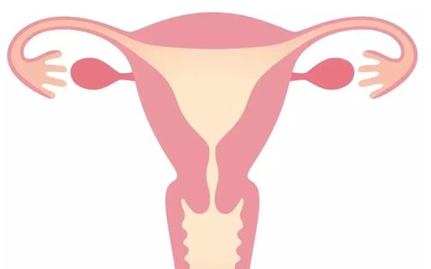 是做試管好還是治療輸卵管好？輸卵管問題決策方法