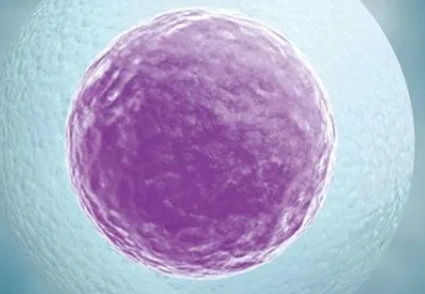 怎么解決卵泡發育不好的問題？解決卵泡發育不好的辦法