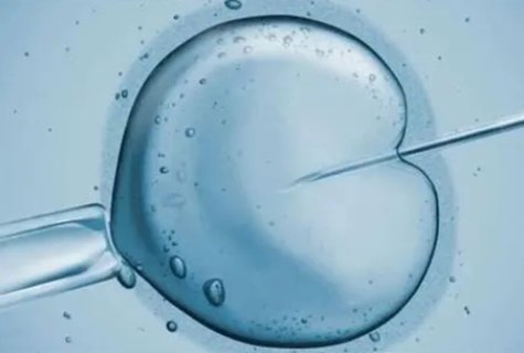 試管嬰兒需要在女性肚子里面嗎？試管嬰兒相關(guān)問題