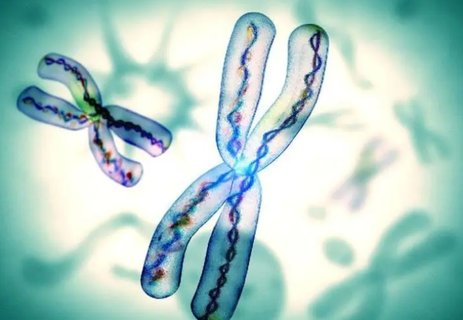 三代試管染色體篩查準(zhǔn)確率高嗎？高準(zhǔn)確率助力優(yōu)生優(yōu)育