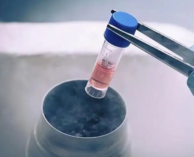 試管凍胚和鮮胚哪個(gè)成功率要高些？