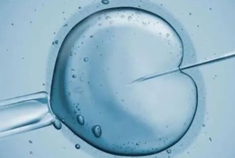 做二代試管是男女哪方有問題？做二代試管的主要原因