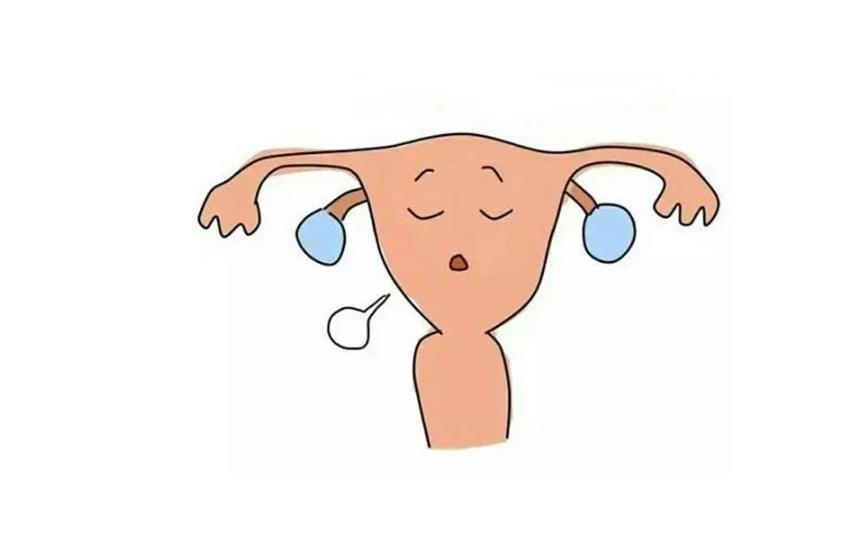 多大算幼稚型子宮,幼稚型子宮怎么發現