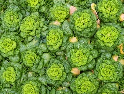 備孕期間男人吃什么補(bǔ)精？男性備孕營養(yǎng)攻略