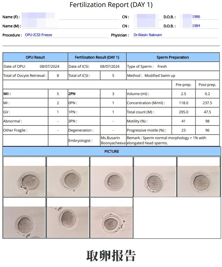 檢查報告 檢查報告