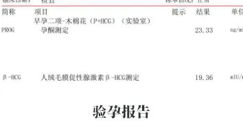 驗孕報告 驗孕報告