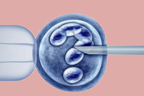 備孕期間怎樣才能容易懷孕？迎接好孕時刻