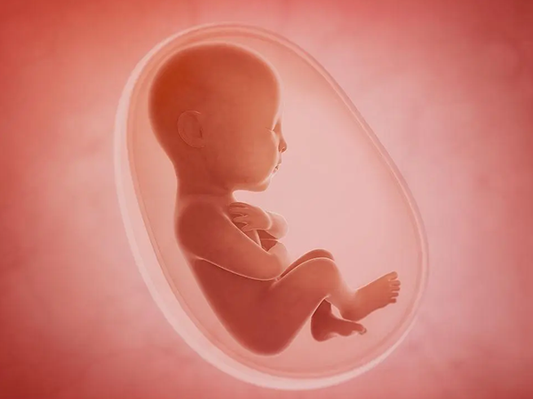 想做三代試管，準備15萬夠嗎？一文給你講清楚