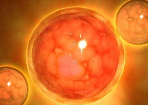 一代和二代試管養囊成功率？養囊成功率的深度解析