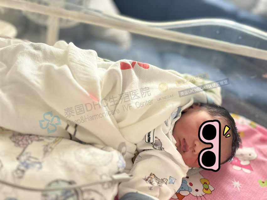 泰國DHC每日好孕故事0516